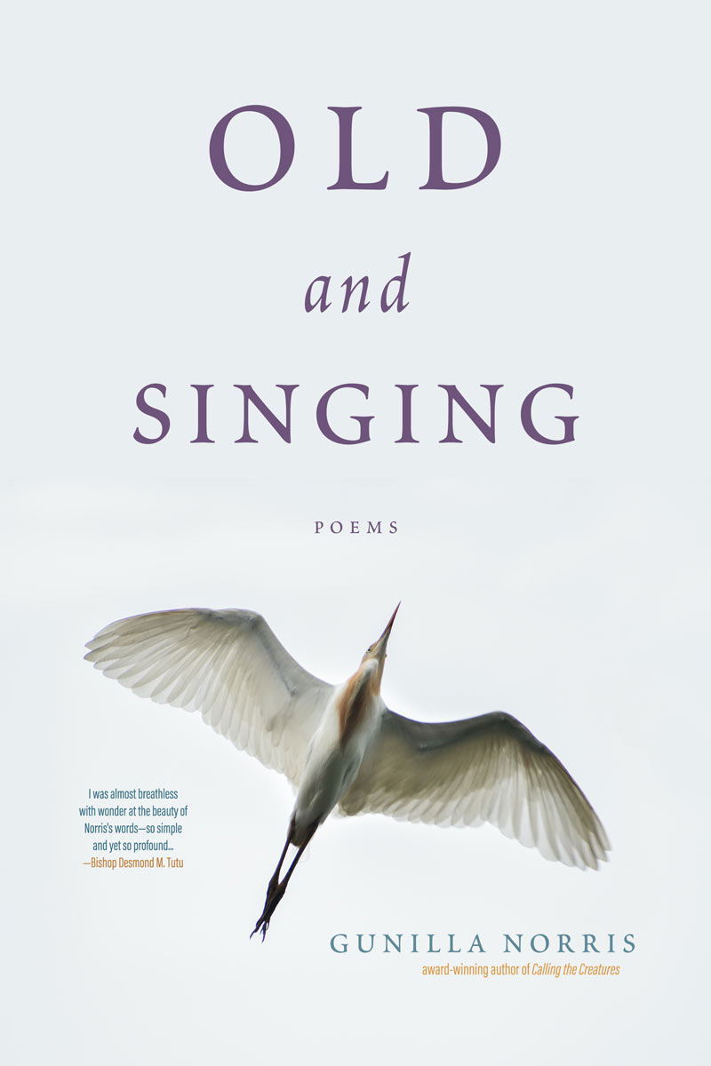 Old and Singing Cover