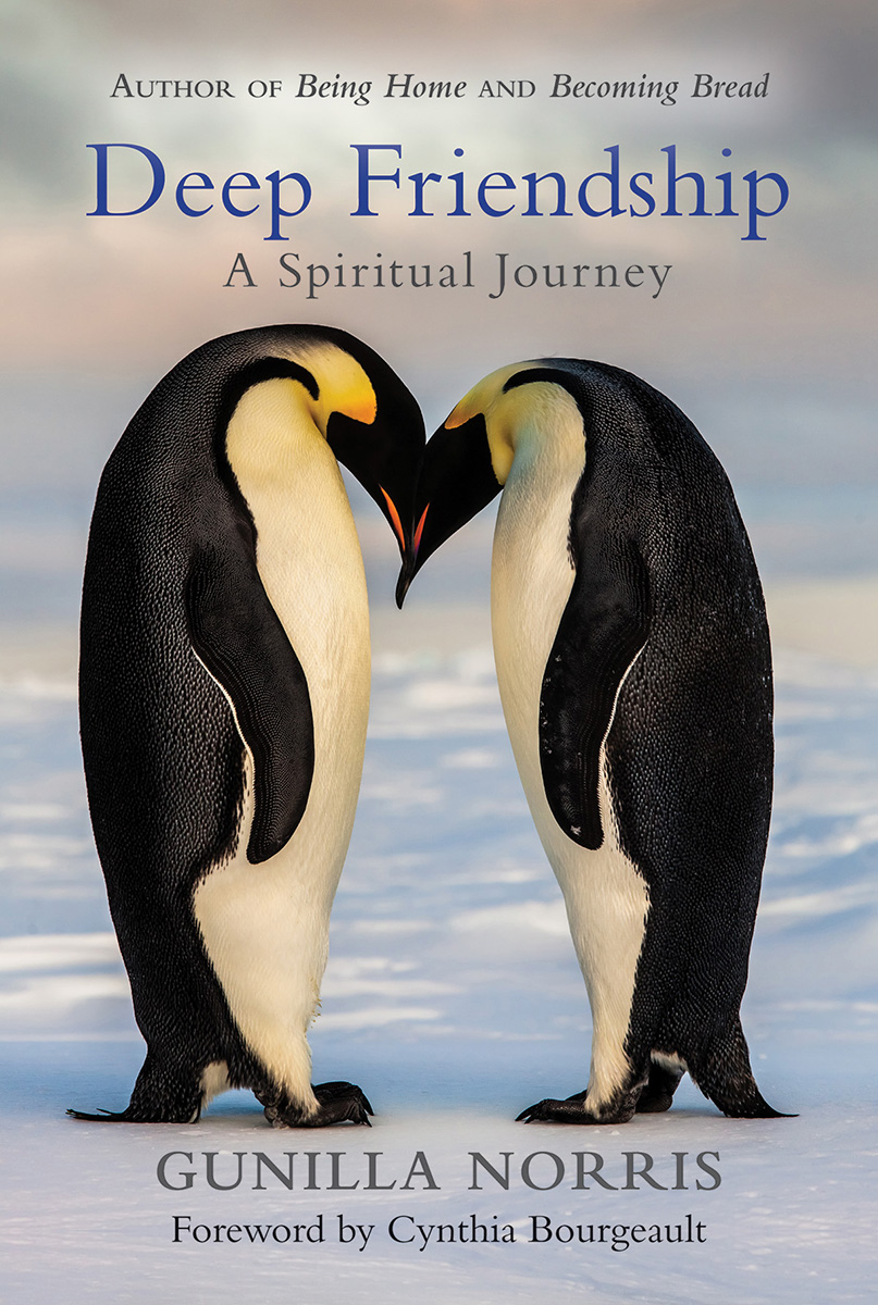 Deep Friendship, by Gunilla Norris